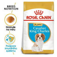 Royal Canin Breed Kavalír King Charles Junior 1,5kg sleva