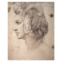 Michelangelo Buonarroti - Obrazová reprodukce Study of Head, (30 x 40 cm)