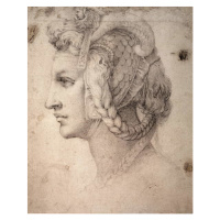 Obrazová reprodukce Study of Head, Michelangelo Buonarroti, 30 × 40 cm