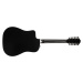 Taylor 250ce-BLK Plus