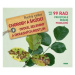 Choroby a škůdci ovoce, zeleniny a okrasných rostlin - Vietmeier Andreas, Klug Marianne