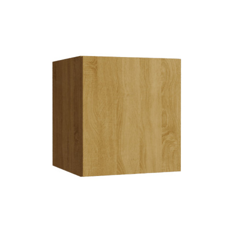 Ral Závěsná skříň GS 1 Barva dřeva: Zlatý dub