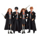 Mattel Harry Potter A Tajemná Komnata Harry Potter