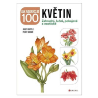 Jak nakreslit 100 květin - kolektiv autorů