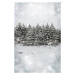 Ilustrace Beautiful winter landscape with snow covered trees, viperagp, 26.7 × 40 cm