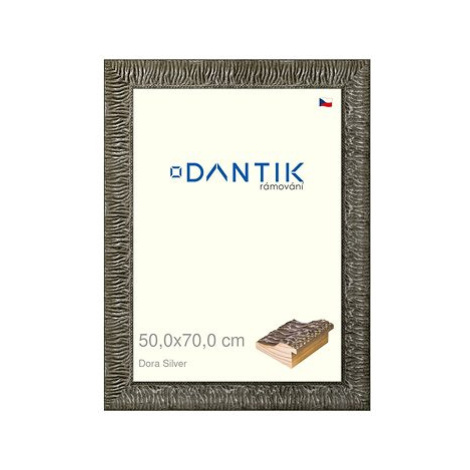 DANTIK rámeček 50 × 70, Dora Silver plexi čiré