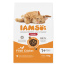 IAMS Cat Adult Indoor Chicken 10kg