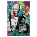 Umělecký tisk Suicide Squad - Harley, 26.7 × 40 cm