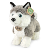 RAPPA - Plyšový pes husky stojící 23 cm ECO-FRIENDLY