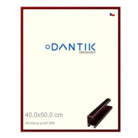 DANTIK rámeček 40 × 50, ALU profil 7269 Červený Rubin broušený plexi čiré