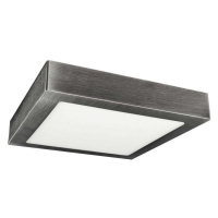 Greenlux LED Stropní svítidlo FENIX LED/12W/230V 2800K 17 cm