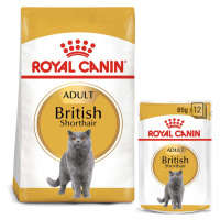 ROYAL CANIN ADULT British Shorthair 2 kg + kapsičky v omáčce 12× 85 g