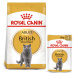 ROYAL CANIN ADULT British Shorthair 2 kg + kapsičky v omáčce 12× 85 g