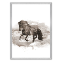 Dekoria Plakát Horse, 30 x 40 cm, Volba rámku: Stříbrný