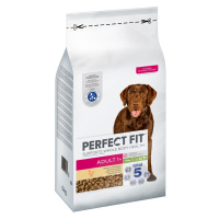 Perfect Fit Adult Dogs (>10kg) - 6 kg