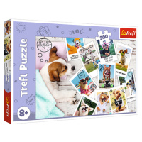 Trefl Puzzle 300 - Fotky z dovolené