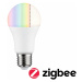 PAULMANN SmartHome ZigBee LED žárovka 9,3 W mat E27 2700-6500K RGB 501.24