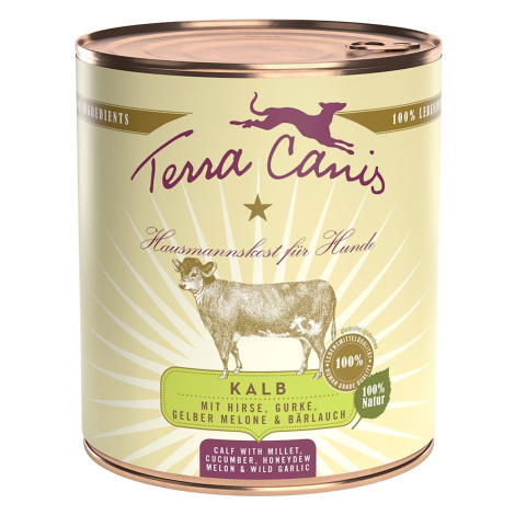 Terra Canis CLASSIC telecí maso s jáhlami, okurkou a melounem 12 × 800 g