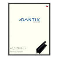 DANTIK rámeček 40 × 50, ALU profil 7269 Černý matný plexi čiré