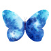 Fotografie Watercolor galaxy butterfly isolated on the, tanialerro, 40 × 30 cm