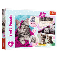 TREFL - Puzzle 160 - Rozkošná koťata