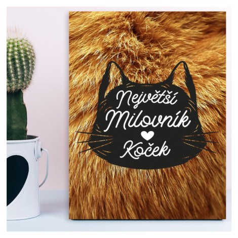 Dárková cedulka Největší milovník koček: 30x40 cm