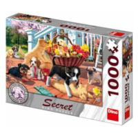 Secret collection puzzle: Štěňata 1000 dílků