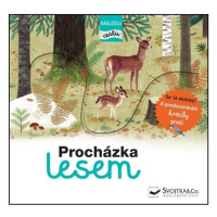 Procházka lesem - následuj cestu