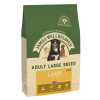 James Wellbeloved Adult Large Breed Dog Hypoallergenic jehněčí & rýže - výhodné balení: 2 x 10 k