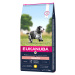 Eukanuba granule 15 kg - 10% sleva - Caring Senior Medium Breed s kuřecím masem - 15 kg