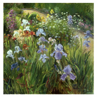 Obrazová reprodukce Irises and Oxeye Daisies, 1997, Timothy Easton, 40 × 40 cm