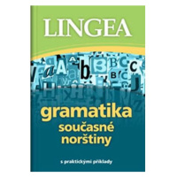 Gramatika současné norštiny s praktickými příklady