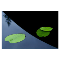 Fotografie In the shade off a boat., AllanWallberg, 40 × 26.7 cm