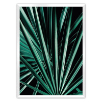 Dekoria Plakát Dark Palm Tree, 50 x 70 cm, Volba rámku: Bílý