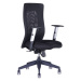 Ergonomická kancelářská židle OfficePro Calypso Grand Barva: černá, Opěrka hlavy: bez opěrky