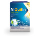 Niquitin Freshmint 4mg gum.mnd.100 I