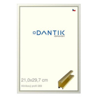 DANTIK rámeček 21 × 29,7, ALU profil 7269 Zlatý lesklý sklo čiré