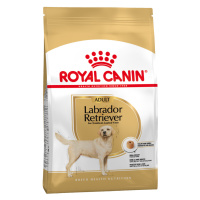 Dvojitá balení Royal Canin Breed - Labrador Retriever Adult (2 x 12 kg)