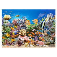 CASTORLAND Puzzle Barvy oceánu 260 dílků