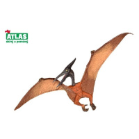 Atlas pteranodon 22 cm