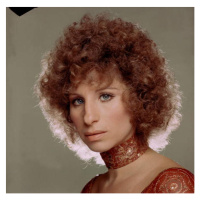 Fotografie Barbra Streisand, 40 × 40 cm