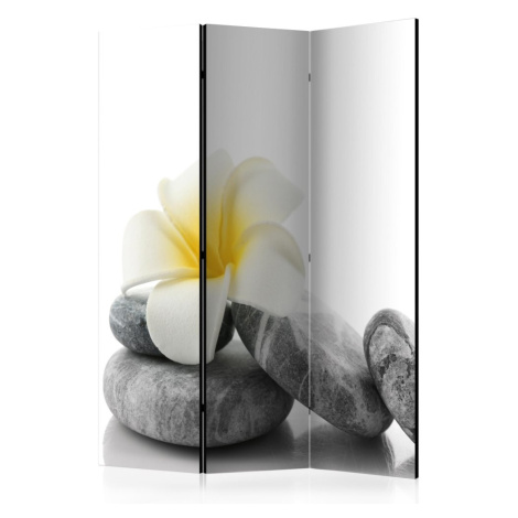 Paraván White Lotus Dekorhome 225x172 cm (5-dílný)