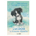 Kniha: Lucinka a ztracené štěňátko od Boothová Anne