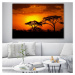 Obraz na plátně AFRICA 120x80 cm Mybesthome