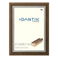 DANTIK rámeček 21 × 29,7, TAIGA sv.hnědý sklo čiré