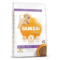 IAMS Dog Puppy Large Chicken 12 kg