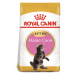 ROYAL CANIN Maine Coon granule pro koťata 10 kg