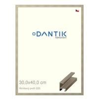 DANTIK rámeček 30 × 40, ALU profil 6220 champagne plexi čiré