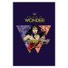 Umělecký tisk Wonder Woman - Diana of Themyscira, (26.7 x 40 cm)