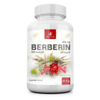 Allnature Berberin Extrakt 98% 500 mg 60 kapslí